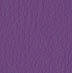 secret-7s7-purple.jpg